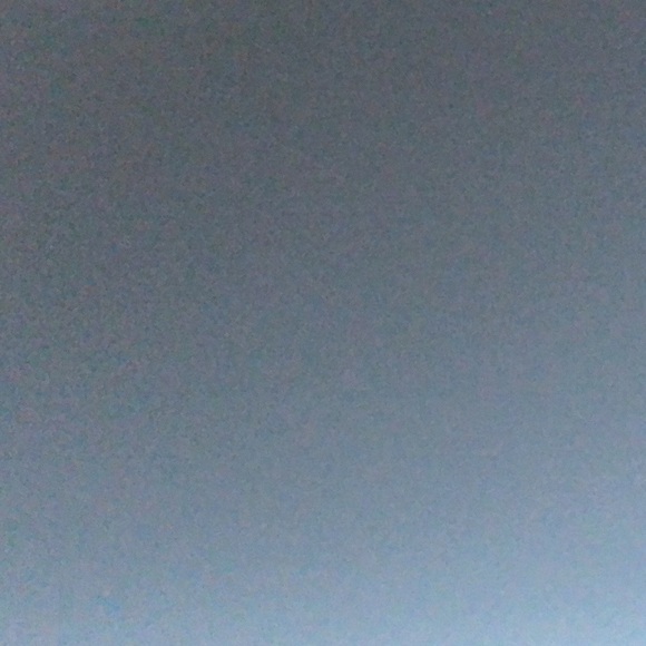 elissa_freeman1